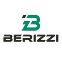 Berizzi