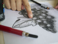 PintyPlus Fixative - Fiksatywa, utrwalacz w sprayu dedykowany do dzieł sztuki - 4