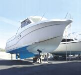 DILUNETT żel do usuwania starych powłok - 9